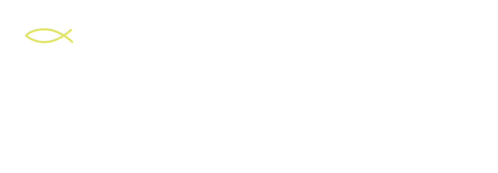 LP3 Electric