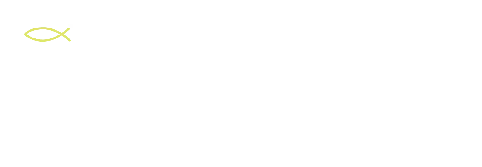 LP3 Electric